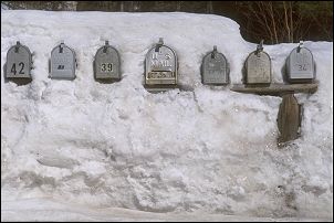 Snow covered mailboxes on the Gunflint Trail